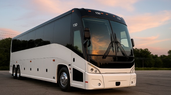 bayonne bachelor and bachelorette party bus rentals