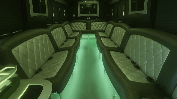 edison 20 passenger party bus rental