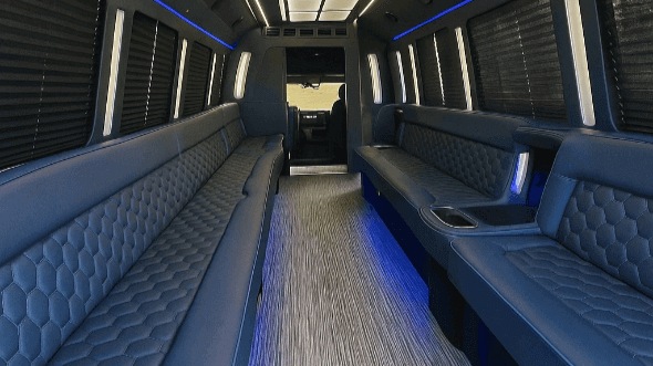 edison 28 passenger party bus rental